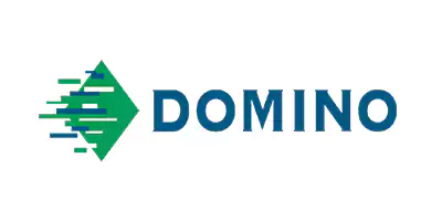 domino logo